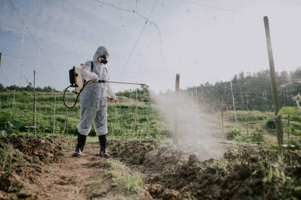 Best Pest Removal Services  in Valley Center, KS