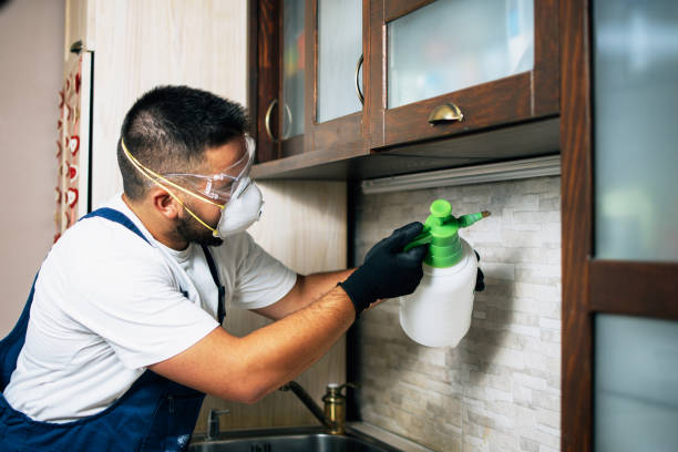 Best Exterminator Services  in Valley Center, KS