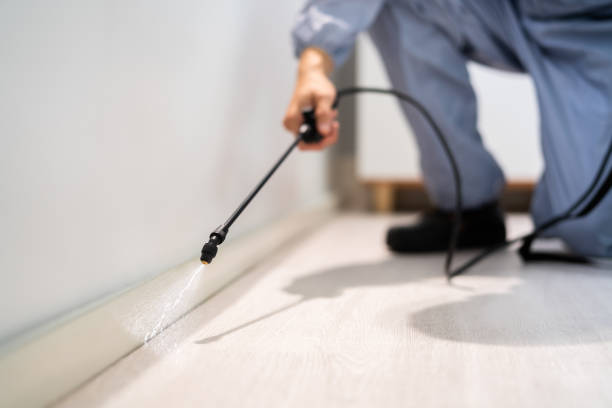 Best Local Pest Control Services  in Valley Center, KS