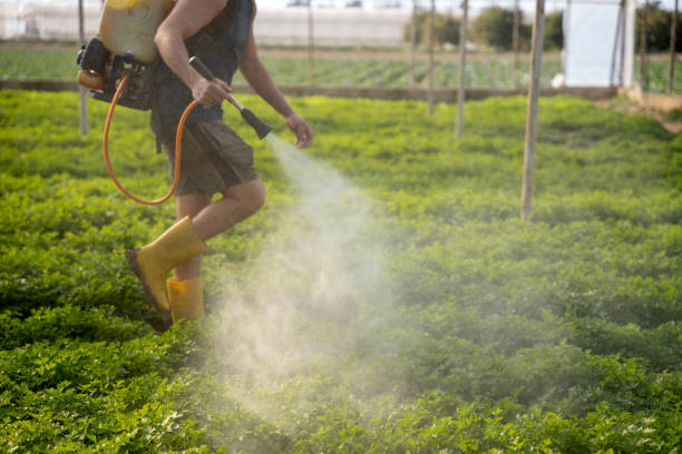 Best Affordable Pest Control Services  in Valley Center, KS