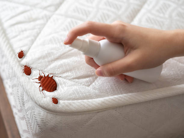 Valley Center, KS Pest Control Company