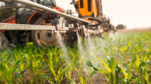 Best Pest Control Treatment  in Valley Center, KS